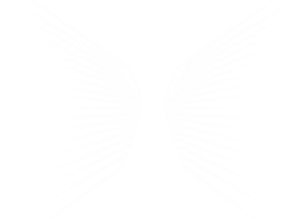 Modifyre logo recovered from the archived site
